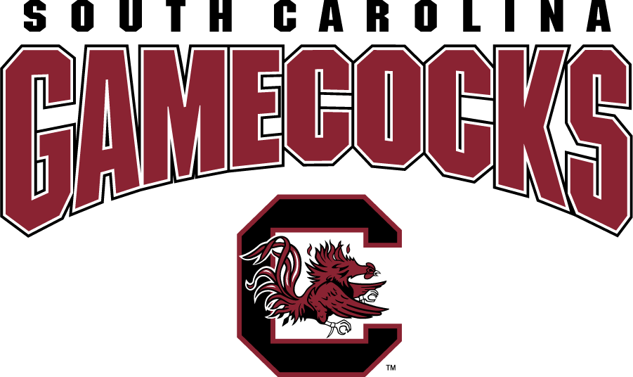 South Carolina Gamecocks 2008-2018 Alternate Logo v2 diy DTF decal sticker